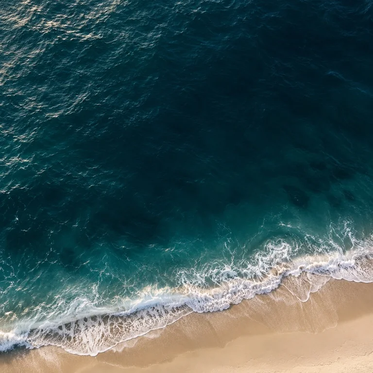 Original CarPro Ocean collection artwork: deep blue sea
